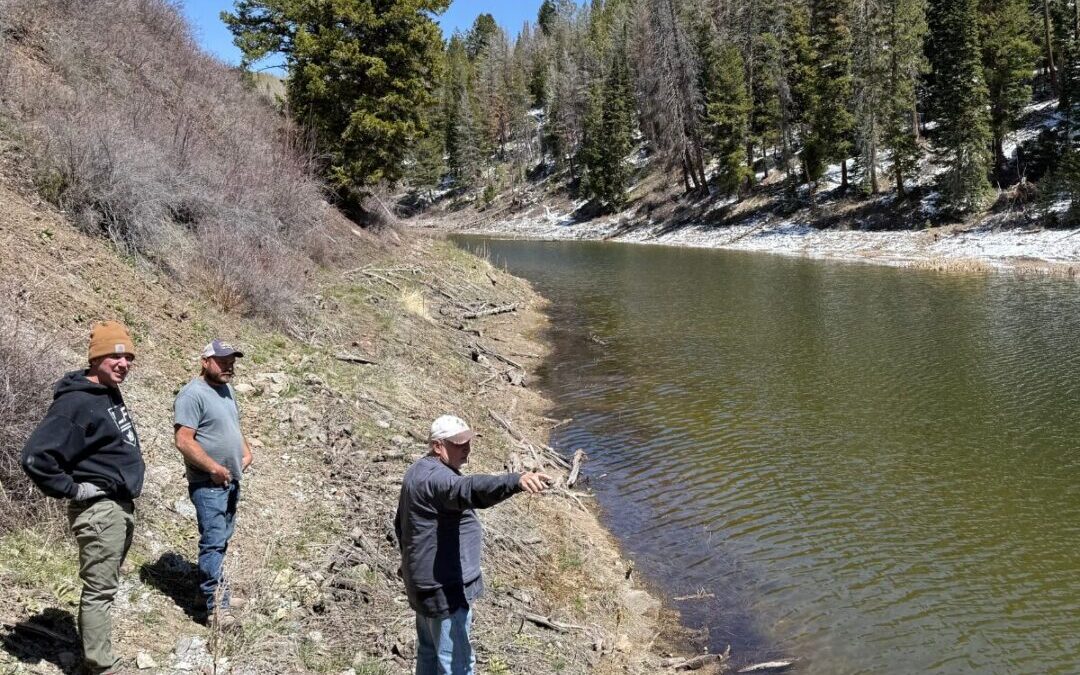 CPRLA Road and Water Committee Initial Spring Water Report as of April 20, 2026