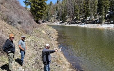 CPRLA Road and Water Committee Initial Spring Water Report as of April 20, 2026